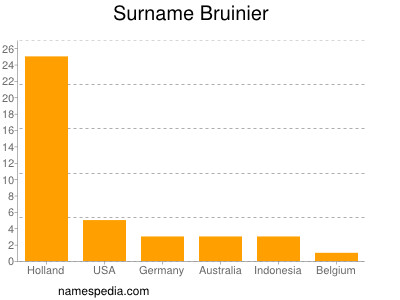 Surname Bruinier