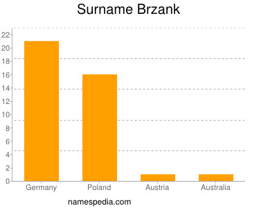 Surname Brzank