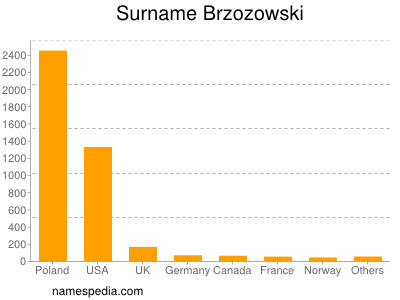 Surname Brzozowski