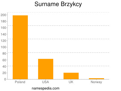 Surname Brzykcy