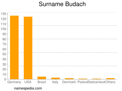 Surname Budach
