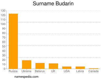 Surname Budarin
