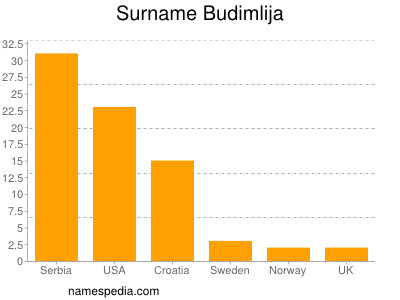 Surname Budimlija