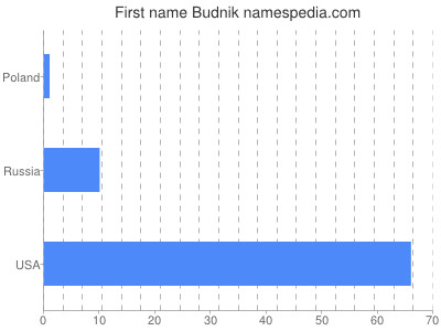 Given name Budnik
