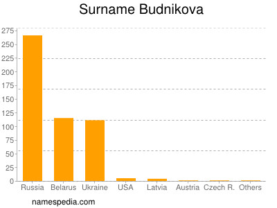 Surname Budnikova