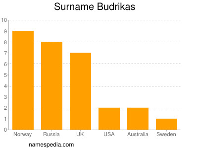 Surname Budrikas