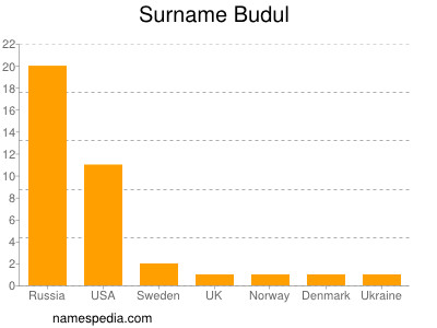Surname Budul