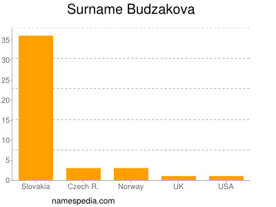 Surname Budzakova