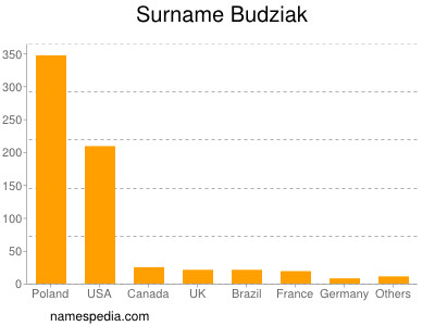 Surname Budziak