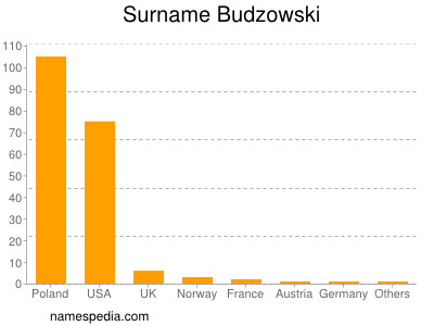 Surname Budzowski