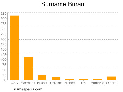 Surname Burau