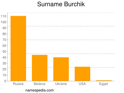 Surname Burchik