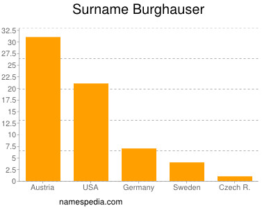 Surname Burghauser