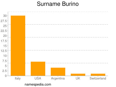Surname Burino