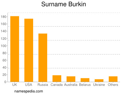 Surname Burkin