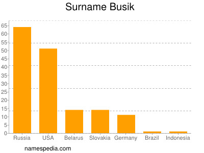 Surname Busik