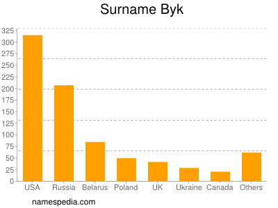 Surname Byk