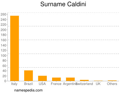 Surname Caldini