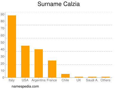 Surname Calzia