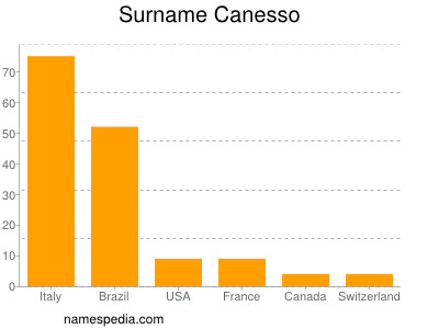 Surname Canesso