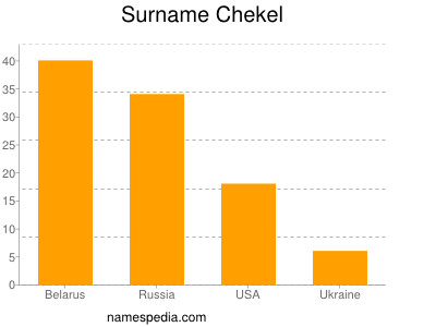 Surname Chekel