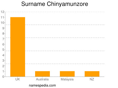 Surname Chinyamunzore
