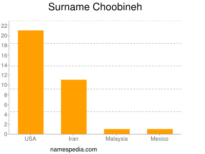Surname Choobineh