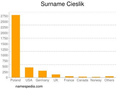 Surname Cieslik
