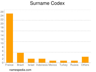 Surname Codex