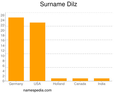 Surname Dilz