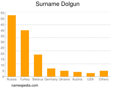 Surname Dolgun