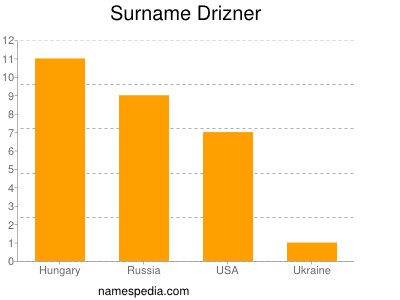 Surname Drizner