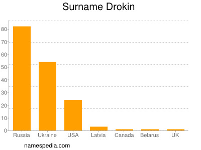 Surname Drokin