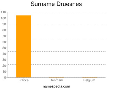 Surname Druesnes