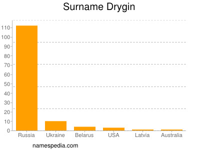 Surname Drygin