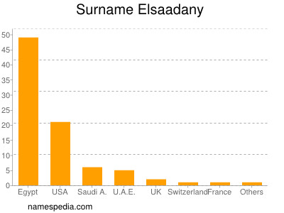 Surname Elsaadany