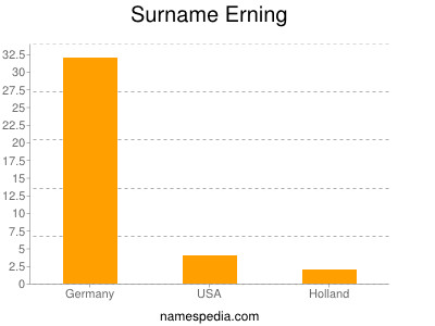 Surname Erning