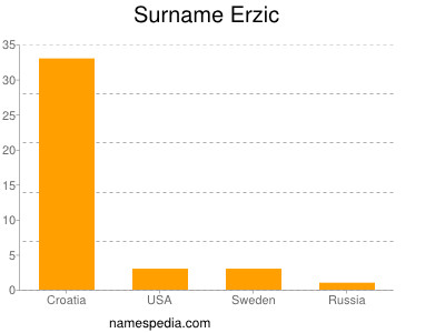Surname Erzic