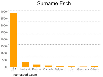 Surname Esch