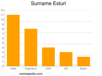 Surname Esturi