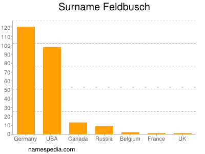 Surname Feldbusch