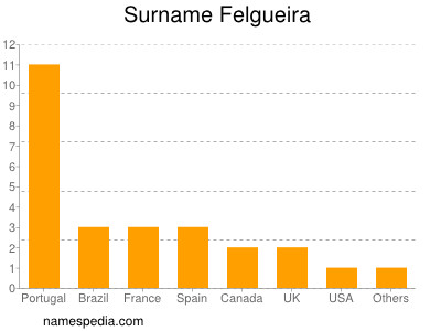 Surname Felgueira