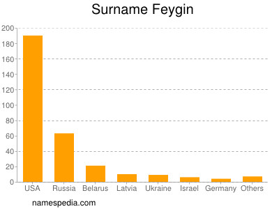Surname Feygin