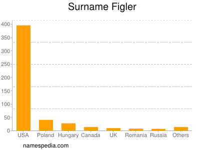 Surname Figler