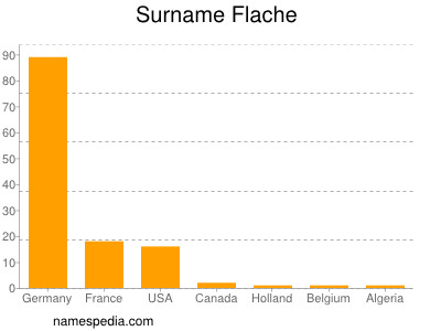 Surname Flache