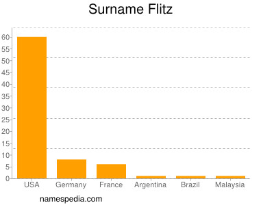 Surname Flitz