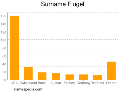 Surname Flugel