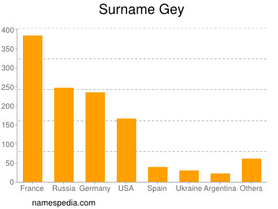 Surname Gey