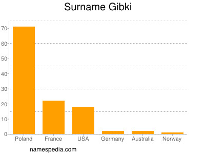 Surname Gibki