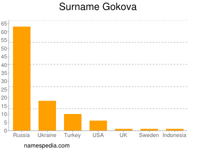 Surname Gokova